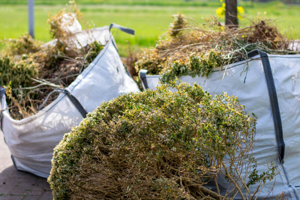 Attic Cleanout Services in Sinton, TX
